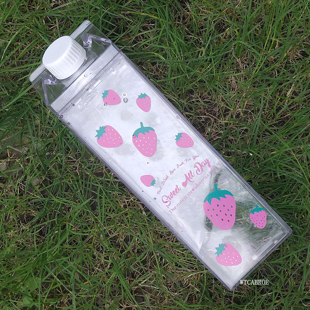 500ML Water Bottle Drinkware E - đánh giá và giá Sports Equipment Kitchener